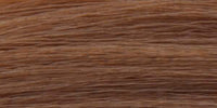 Aloxxi Chroma color 7N Georgio’s Folly
