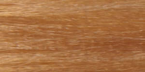 Aloxxi Chroma color 9G Peach Bellini