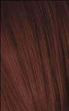 Igora Royal Color 4-88 Medium Brown Red Extra