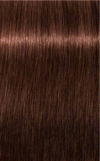 Schwarzkopf Igora Royal Hair Color 5-6 Light Brown Chocolate
