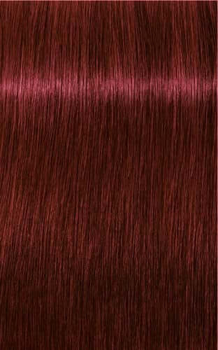Igora Royal Color 5-88 Light Brown Red Extra