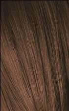 Thumbnail for Igora Royal Color 6-6 Dark Blonde Chocolate