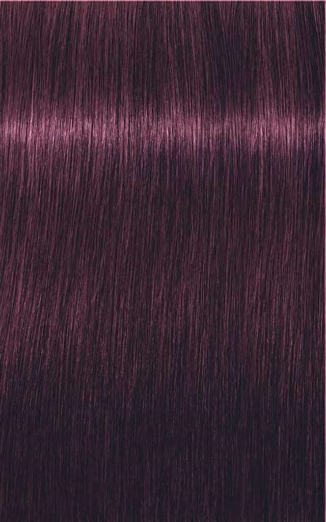 Igora Royal Color 6-99 Dark Blonde Violet Extra