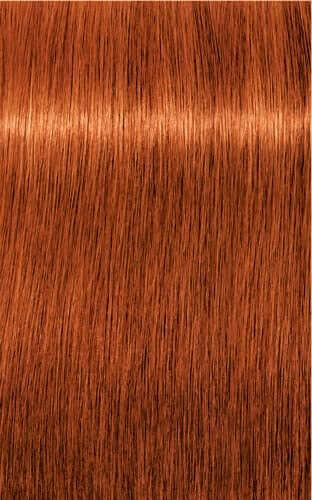 Igora Royal Color 7-77 Medium Blonde Copper Extra