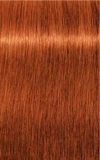Schwarzkopf - Igora Royal 8-77 Light Blonde Intense Copper