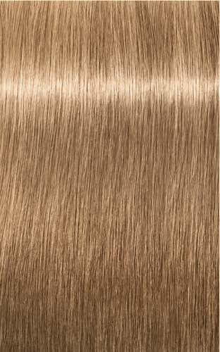 Igora Royal Color 8-4 Light Blonde Beige