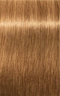 Thumbnail for Igora Royal Color 8-55 Light Blonde Gold Extra