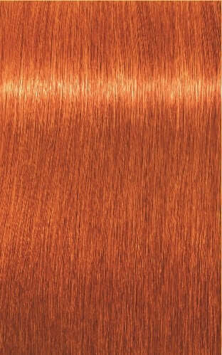Igora Royal Color 8-77 Light Blonde Copper Extra
