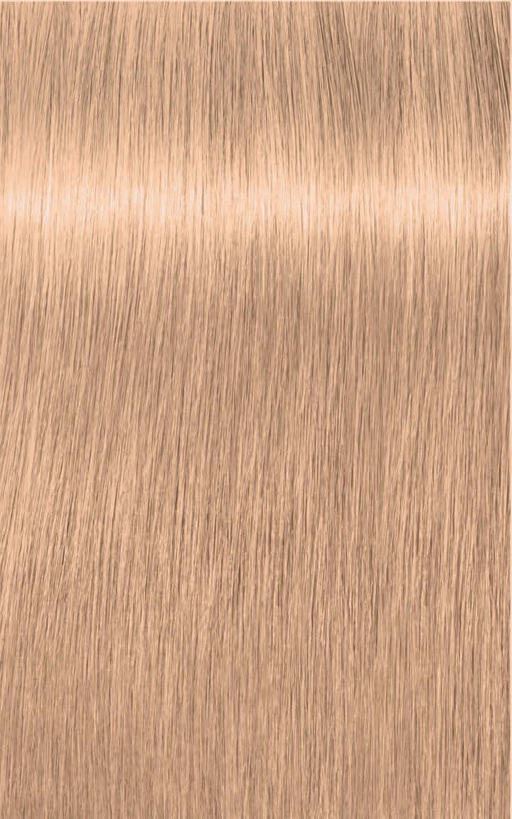 Igora Royal highlifts Color 10-14 Ultra Blonde Cendre Beige