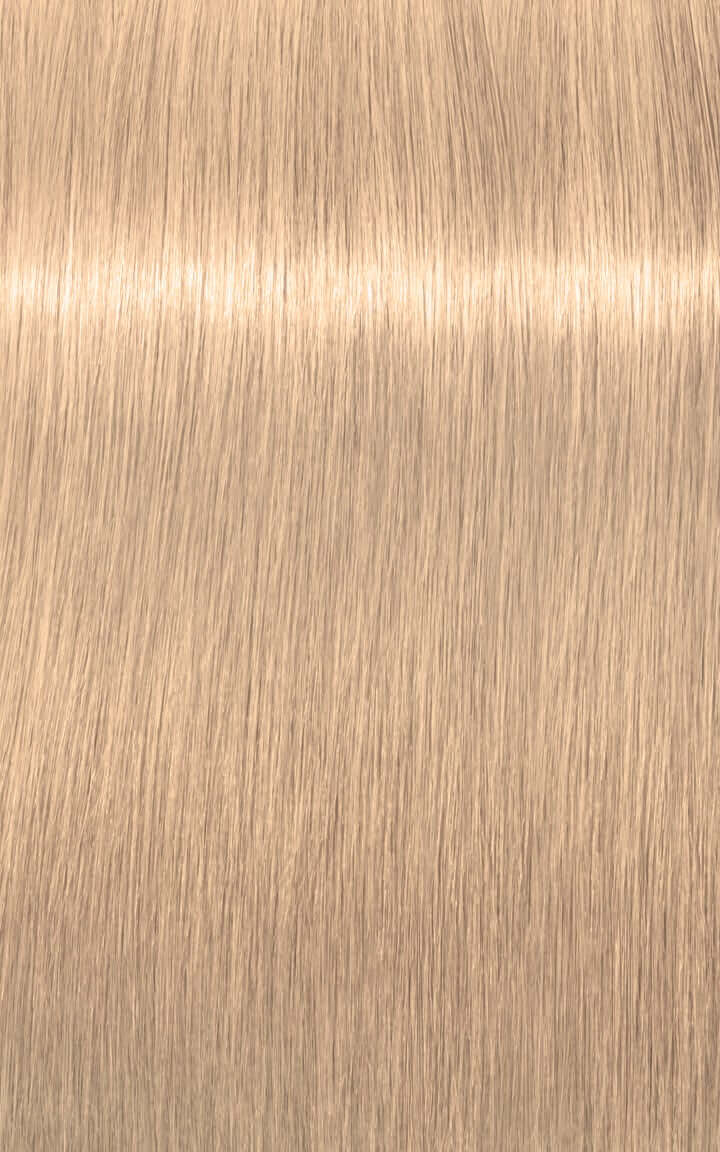 Igora Royal highlifts Color 12-0 Special Blonde Natural