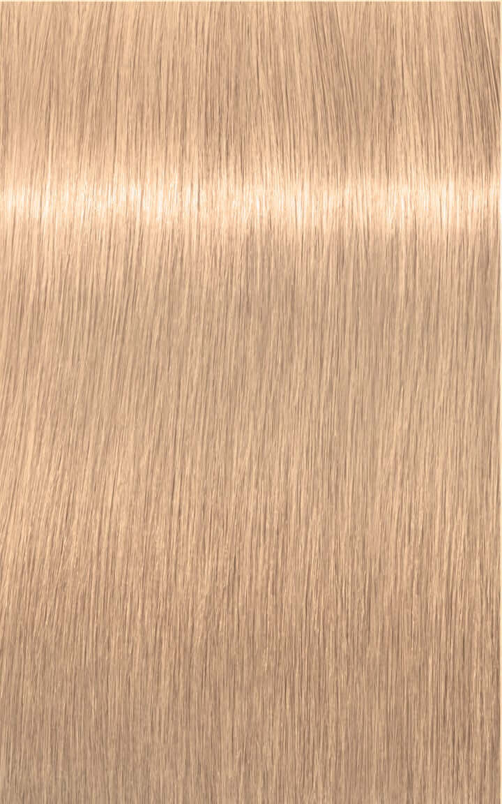 Igora Royal highlifts Color 12-4 Special Blonde Beige